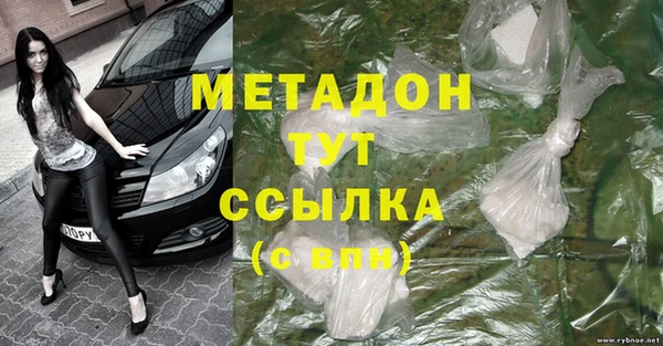индика Бородино