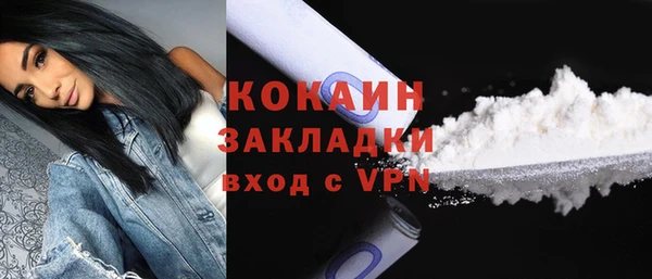 дживик Бронницы