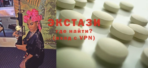 индика Бородино