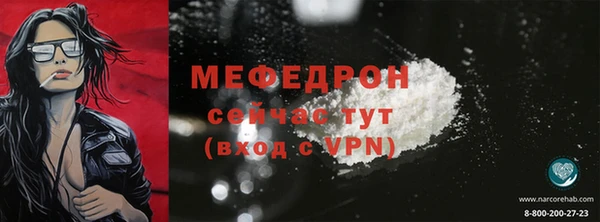 индика Бородино