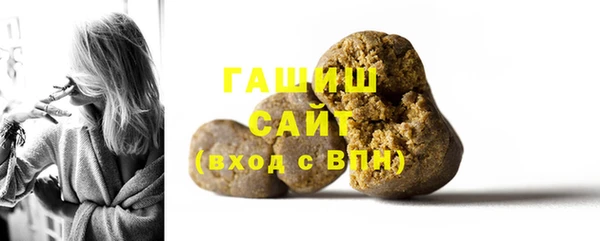 индика Бородино