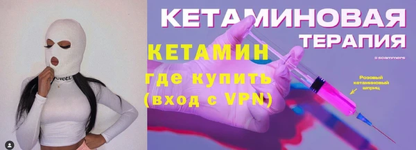 индика Бородино
