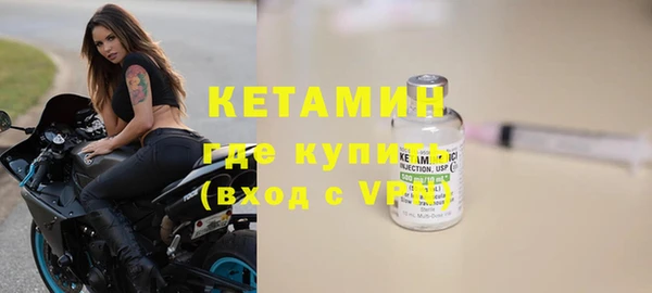 индика Бородино