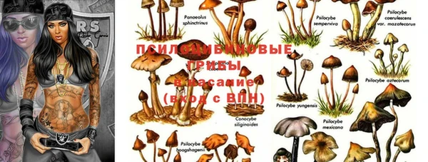 не бодяженный Бугульма
