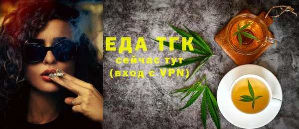индика Бородино
