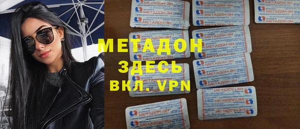 индика Бородино
