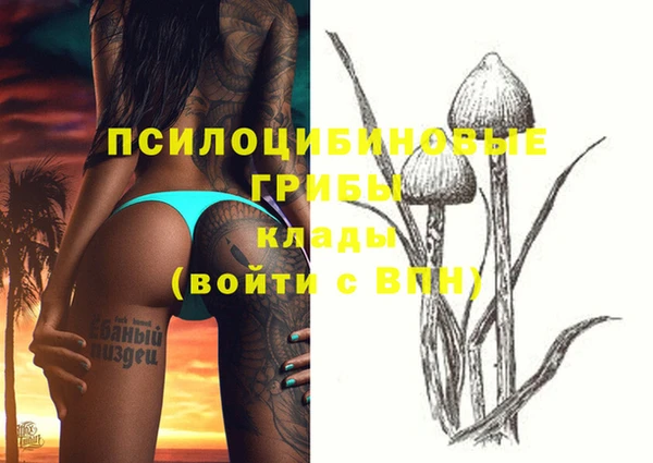 дживик Бронницы
