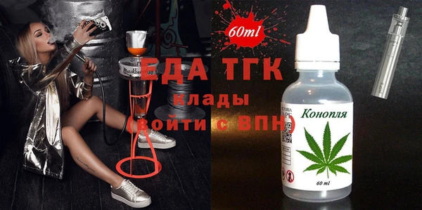 индика Бородино