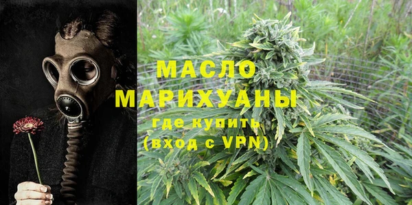 индика Бородино