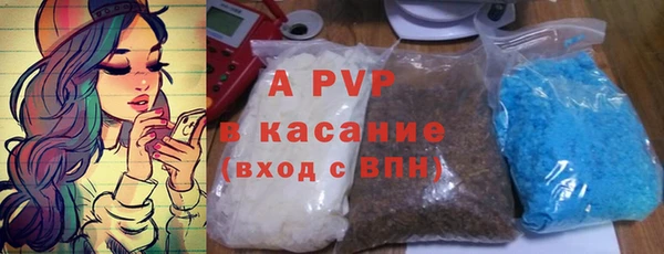 индика Бородино