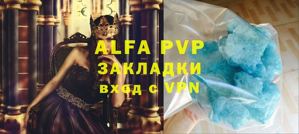 индика Бородино