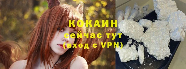 индика Бородино