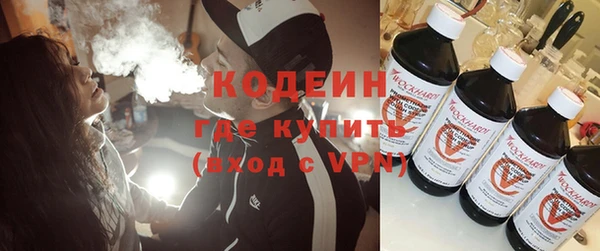 индика Бородино