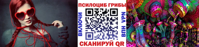 Псилоцибиновые грибы GOLDEN TEACHER  хочу   Ковылкино 